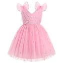 IMEKIS Toddler Kids Girls Butterfly Dress Sparkle Sequins Tulle Wedding Formal Birthday Dresses 2-10T