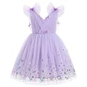 IMEKIS Toddler Kids Girls Butterfly Dress Sparkle Sequins Tulle Wedding Formal Birthday Dresses 2-10T