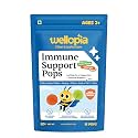 Immune Support Pops for Kids Green Apple