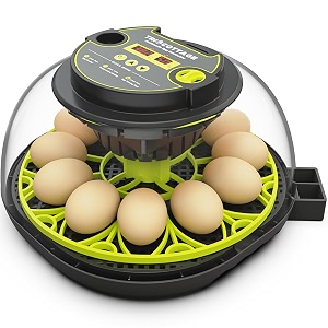 incubators for hatching eggs 12 egg incubator with automatic egg turning and humidity controlegg candlerauto water replenishmentfor chicken eggs and quail egg m12h