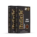 Indalo Ammonia-Free Vibrant Hair Color CHESTNUT| With Natural Ingredients - 100g (Pack of 2)