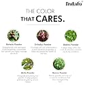 Indalo Natural Light Brown Hair Colour Herbal Based Ammonia Free with Brahmi, Shikakai, Amla &amp; Baheda | Natural Conditioning, Anti Dandruff &amp; Long Lasting Hair Color For Women and Men – 100gm Each (Pack of 3)