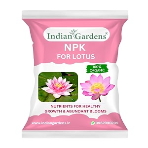 indian gardens - npk for lotus fertilizer  100 water soluble plant food  boosts flowering amp growth  ideal for home terrace pond amp garden plants 2 kg