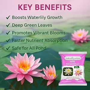 indian gardens - npk for waterlily fertilizer  100 water soluble plant food  boosts flowering amp growth  ideal for home terrace pond amp garden plants 400 grams