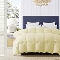 500 GSM Winter Proof Comforter Premium Collection Quilted Comforter (60" x 90" Inches/152cm x 228cm) - Single Bed Comforter|Ivory