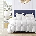 500 GSM Winter Proof Comforter Premium Collection Quilted Comforter (60" x 90" Inches/152cm x 228cm) - Single Bed Comforter|White