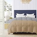 500 GSM Winter Proof Comforter Premium Collection Quilted Revesible Comforter (92" x 106" Inches/233cm x 269cm) - King Size Comforter|Silver/Beige