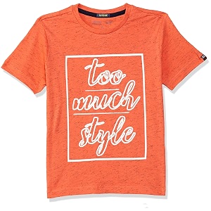 Indian Terrain Boys Regular fit T-Shirt