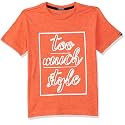 Indian Terrain Boy39s Regular fit T-Shirt