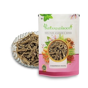indianjadibooti punarnava boerhavia diffusa  supports kidney health amp water balance  punarnava churna for urinary wellness amp swelling relief  with boerhavia diffusa root 400 grams pack  pack of 2