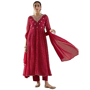 INDO ERA Womens Georgette Floral Embroidered A-Line