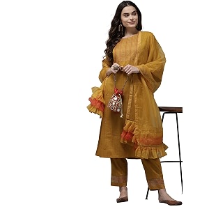 INDO ERA Womens Poly Chiffon Embroidered Straight