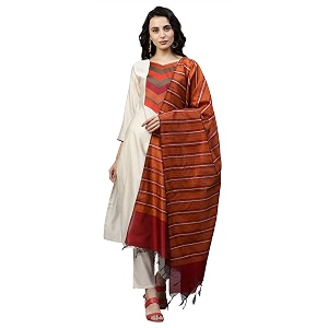INDO ERA Womens Viscose Straight Kurta with