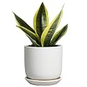 Indoor Plant Pot 5 Inch - Round Ceramic Planter for Succulent Plants with Drainage Hole and Saucer, Modern Home Decor, White