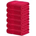 Infinitee Xclusives 100% Cotton Hand Towels for Bathroom - Set of 6