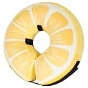 Inflatable Dog Cone Collar for Large Medium Small Dogs, Soft Adjustable Recovery Cone for Dogs Cats,Dog Neck Donut Alternative After Surgery(Lemon,Small