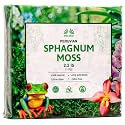 Inkashop Long Fiber Sphagnum Moss for Orchids and Carnivorous Plants 2.2lb
