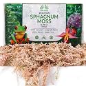 Inkashop Long Fiber Sphagnum Moss for Orchids and Carnivorous Plants 5.3oz
