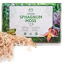 Inkashop Long Fiber Sphagnum Moss for Orchids and Carnivorous Plants 1.1lb