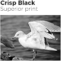 Refill Ink for 803 Ink Cartridge 805 802 678 901 818 21 22 680 27 703 704 685 862 920 808 960 46 28 56 57 - Refill Ink (Black 2PC)