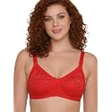 INKURV Full Coverage Net Bra for Women