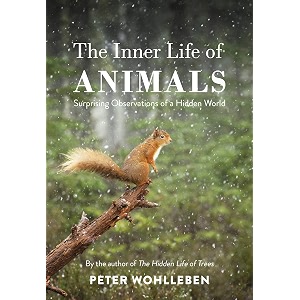 the inner life of animals surprising observations of a hidden world