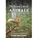 The Inner Life of Animals: Surprising Observations of a Hidden World