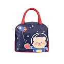 3D Printed Hot &amp; Cold Leak Proof Lunch Bag for Office School Kids Men &amp; Women Storage Bag with Handle Tiffin Bag (Navy Blue Bear)