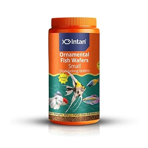 intan ornamental fish wafers 09mm small slow sinking  600gm - highly nutritious ornamental fish food for angels gouramis goldfish barbs amp rainbows  growel feeds