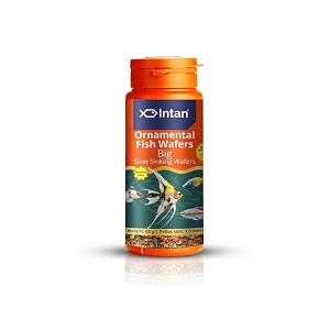 intan ornamental fish wafers big 16mm slow sinking  65gm - highly nutritious ornamental fish food for angels gouramis goldfish barbs amp rainbows  growel feeds