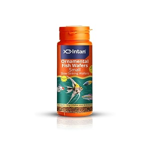 intan ornamental fish wafers small 09mm slow sinking  70gm - highly nutritious ornamental fish food for angels gouramis goldfish barbs amp rainbows  growel feeds