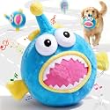 Interactive Moving Dog Toy, Bouncing Dog Toy with Squeaky (Lanternfish)