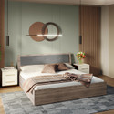 Interio by Godrej Stud Engineered Wood Queen