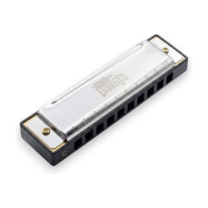 intern mouth organ key c 10 holes diatonic harmonica professionals and beginners