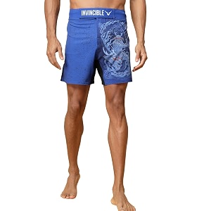Invincible Mens MMA Training Shorts