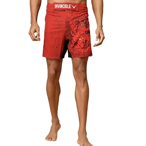 Invincible Mens MMA Training Shorts
