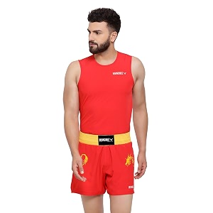 invincible mens wushu kit
