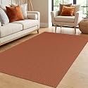 IOHOUZE Washable Area Rug 4x6 Non Slip Rubber Backed Woven Rugs for Entryway Indoor Bedroom Rugs Kitchen Rug Floor Throw Carpet for Entrance Front Door Living Room, Burnt Orange/Tan