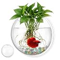 iplusmile Wall Mounted Fish Bowl - 9 Inch Round Acrylic Betta Fish Tank, Hanging Bubble Vase for Plant Propagation & Home Office Wall Decorations
