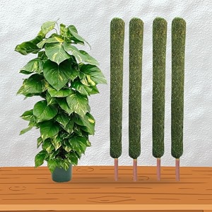 IQNEX Plant Support Moss Stick- Green Grass