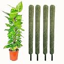 IQNEX Plant Support Moss Stick- Green Grass