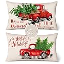 Irenare 2 Pack Christmas Waterproof Lumbar Throw 12x20 Pillow Covers Decor
