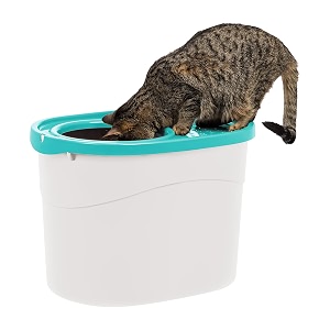 iris top entry cat litter box with scoop whiteseafoam