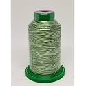 Isacord Embroidery Thread Variegated (9805 Shades of Grass)