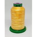 Isacord Embroidery Thread Variegated (9925 Saffron)