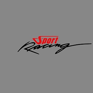 isee 360 bike stickers compatible with bajaj pulsar 125 ns 200 180 150 220 mask stem tank sport racing decals l x h 11 x 23 cms pack of 2 redblack