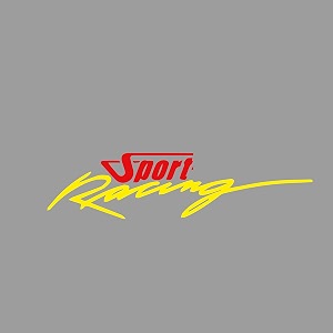 isee 360 bike stickers compatible with bajaj pulsar 125 ns 200 180 150 220 mask stem tank sport racing decals l x h 11 x 23 cms pack of 2 redyellow