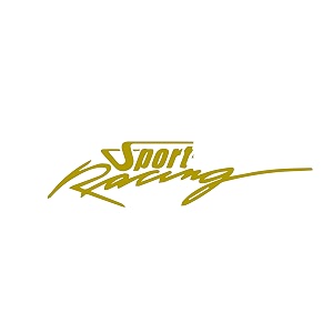 isee 360 bike stickers compatible with bajaj pulsar 125 ns 200 180 150 220 mask stem tank sport racing decals l x h 11 x 23 cms pack of 2 gold