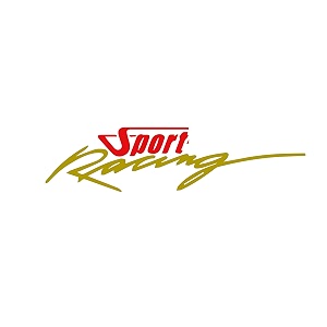 isee 360 bike stickers compatible with bajaj pulsar 125 ns 200 180 150 220 mask stem tank sport racing decals l x h 11 x 23 cms pack of 2 redgold