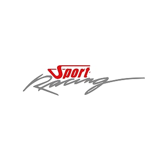 isee 360 bike stickers compatible with bajaj pulsar 125 ns 200 180 150 220 mask stem tank sport racing decals l x h 11 x 23 cms pack of 2 redgrey